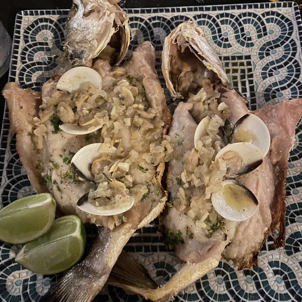  Corvina