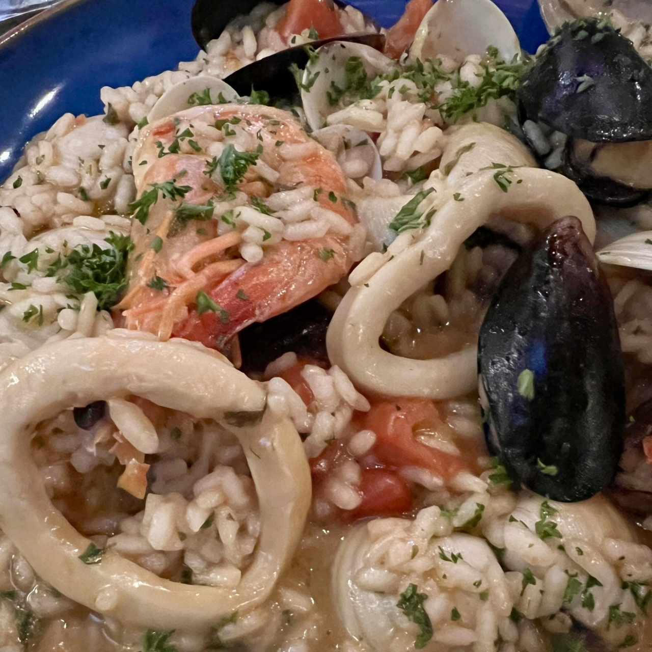 Risotto alla pescatore 