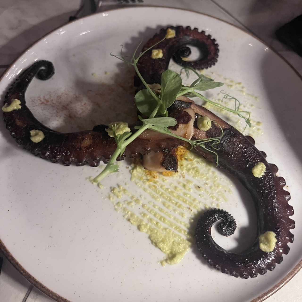 Pulpo