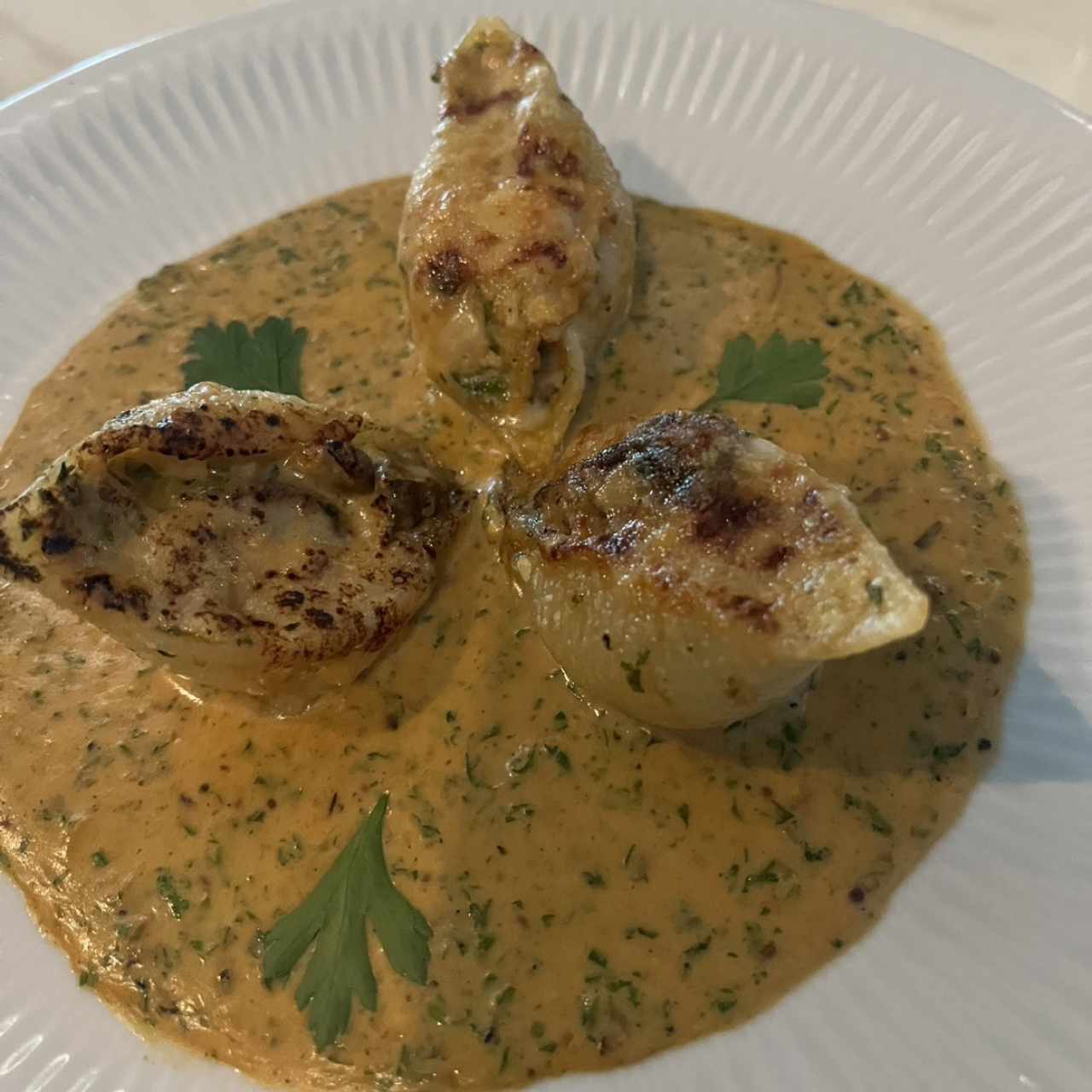PASTA REPIENA - Conchiglioni alla Thermidor