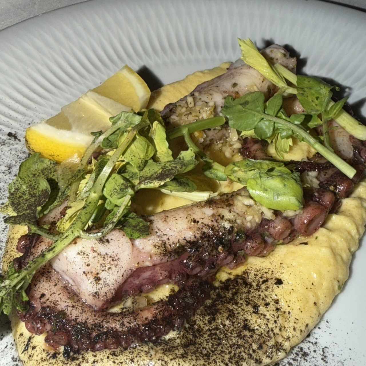 PESCE - Polpo