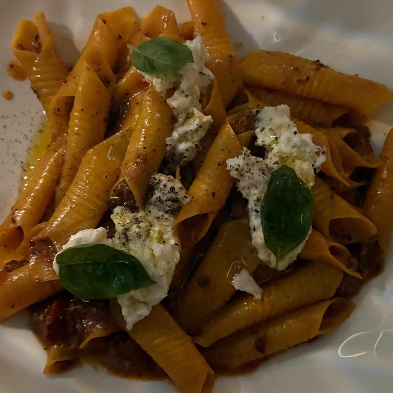 PASTA CORTA - La Amatriciana
