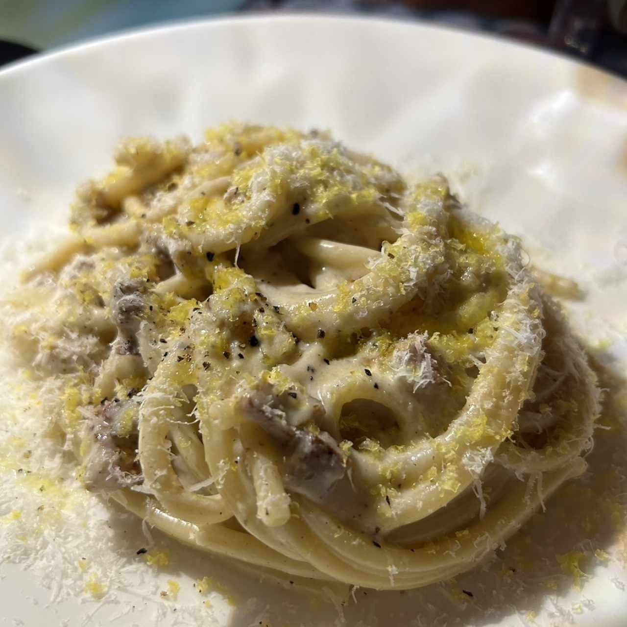 PASTA LUNGA - Bucatini alla Gricia