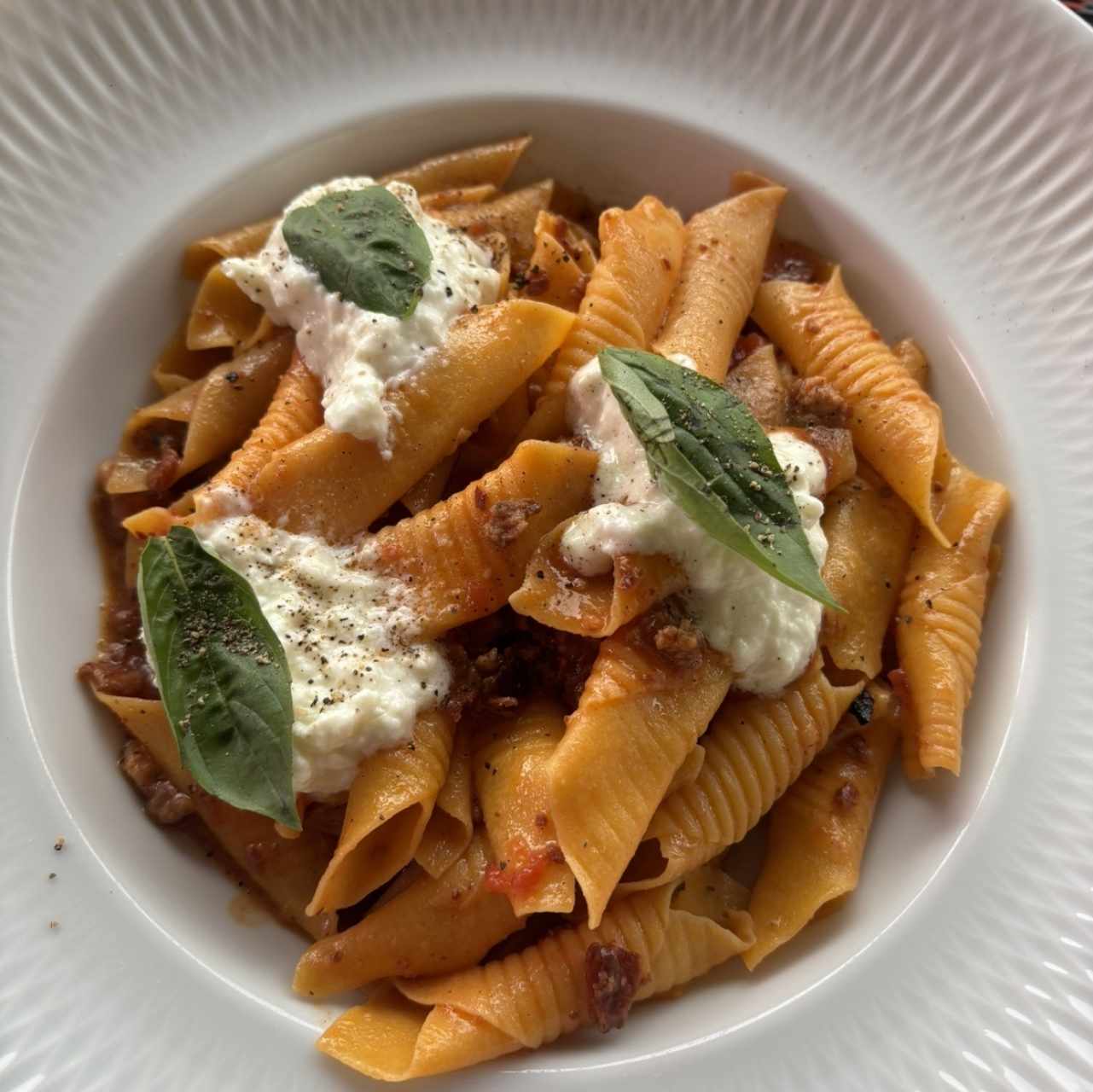 PASTA CORTA - La Amatriciana