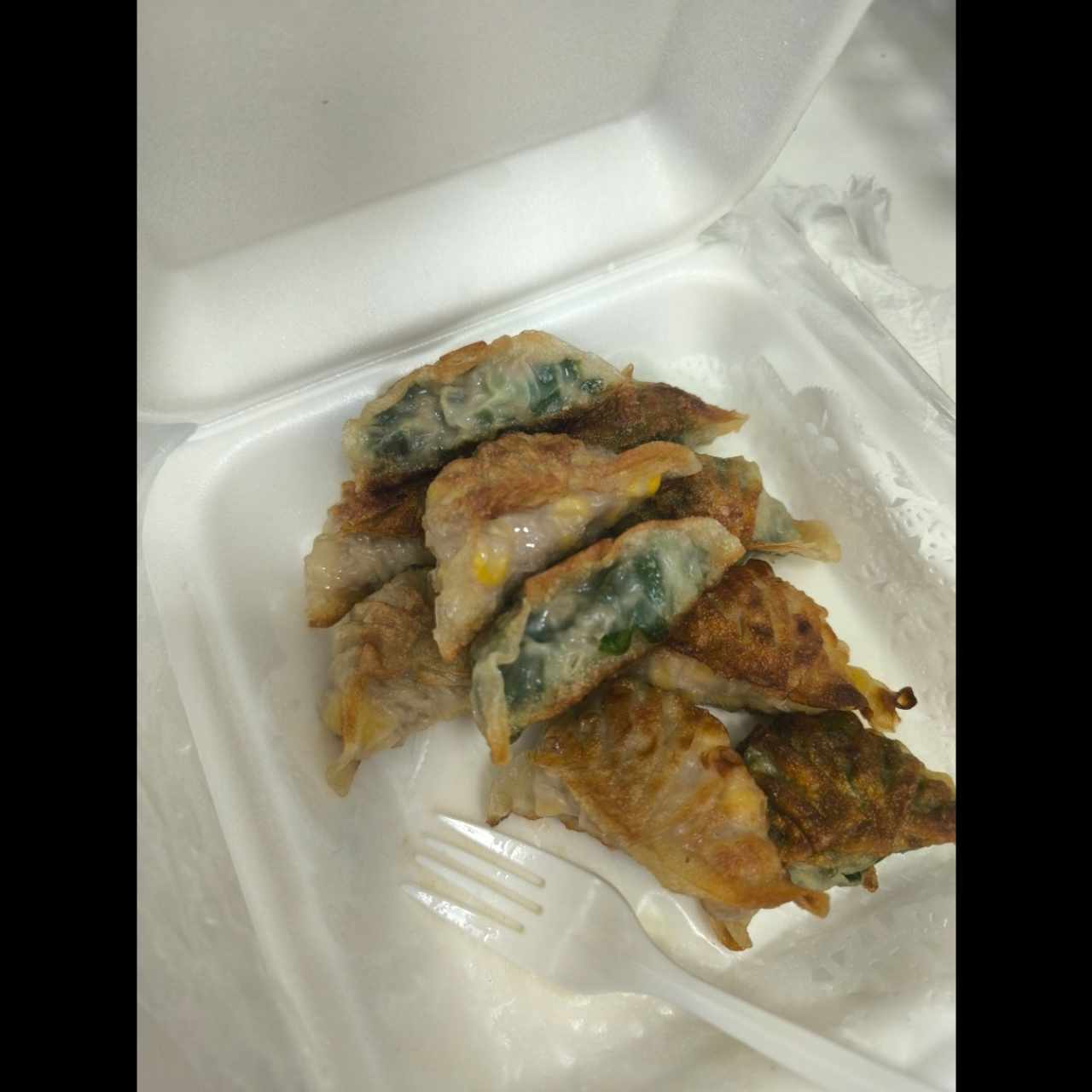 Dumpling de puerco con cebollina