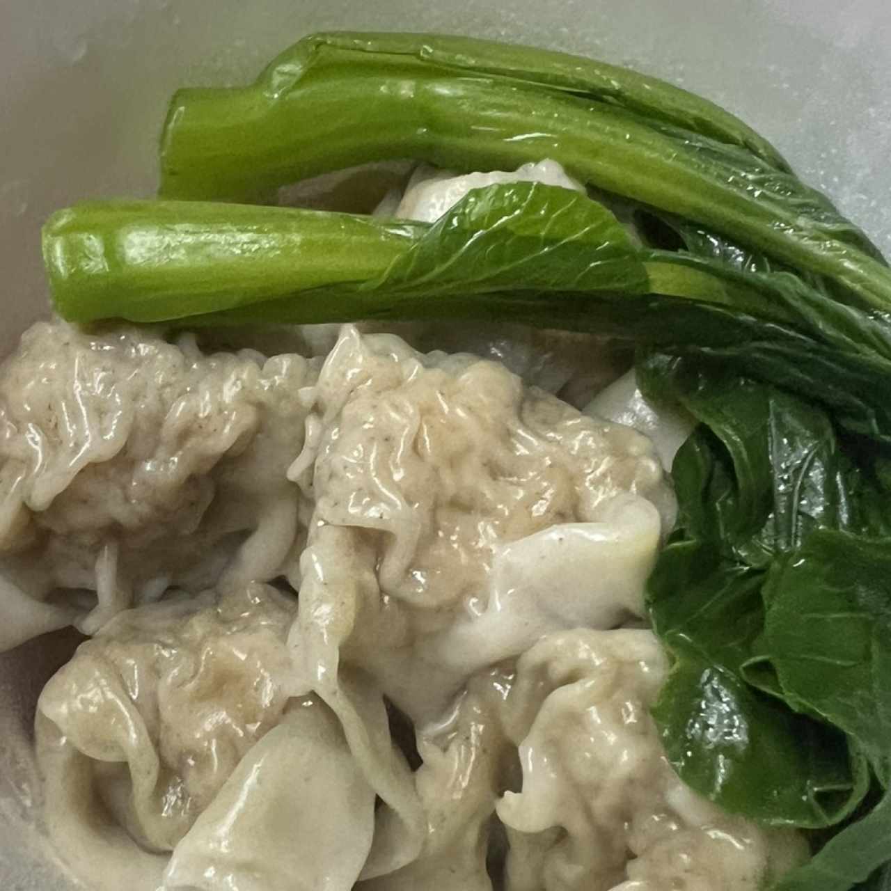Sopa De Wanton De Puerco Con Fideos