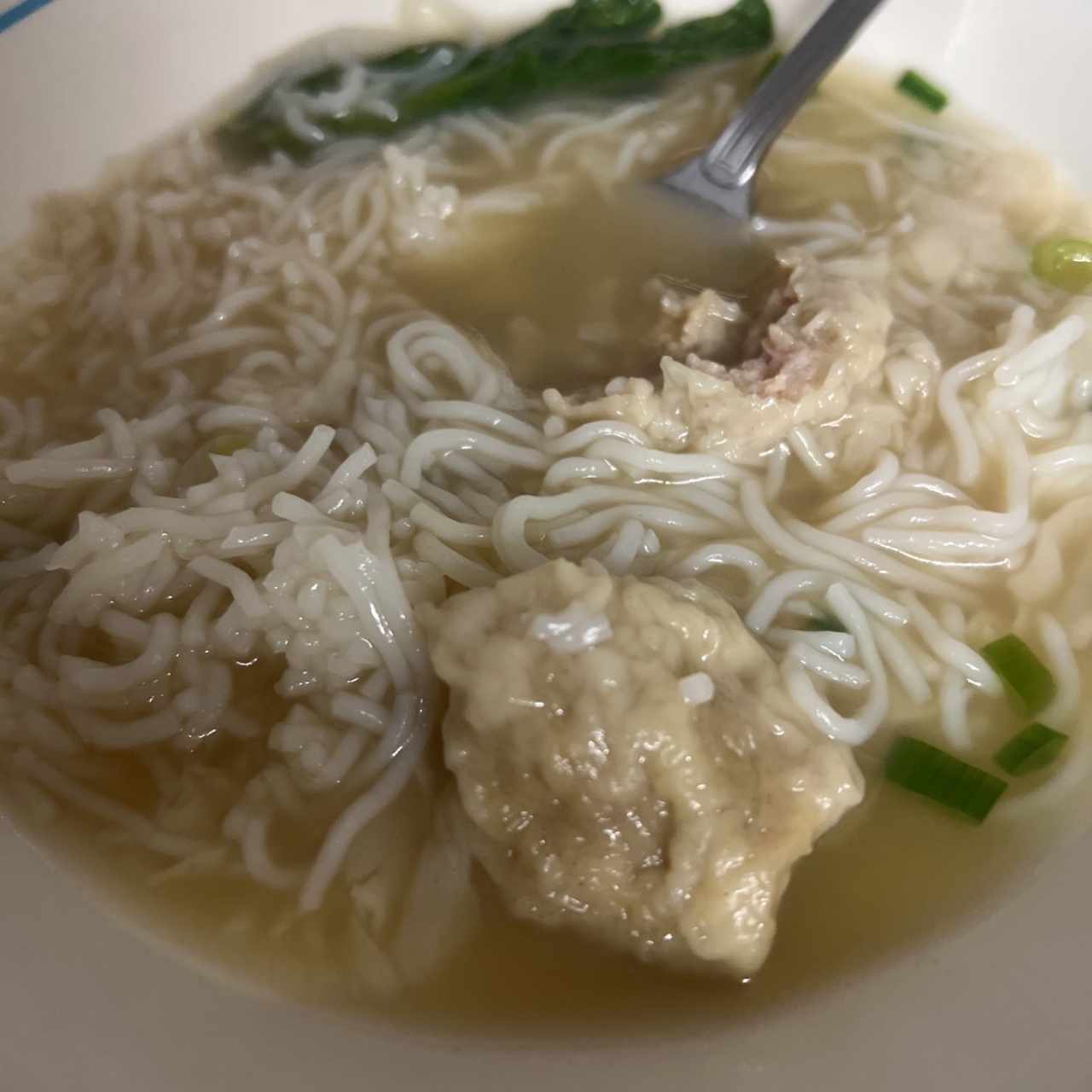 Sopa De Wanton De Puerco Con Fideos