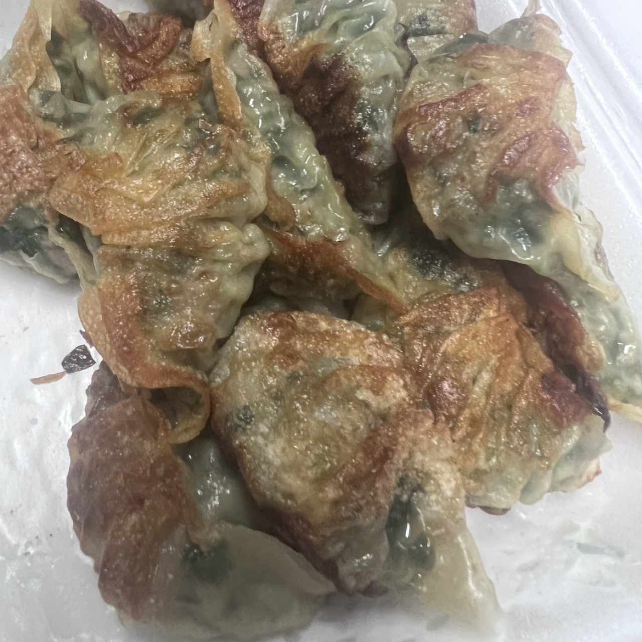 Dumpling de puerco con cebollina