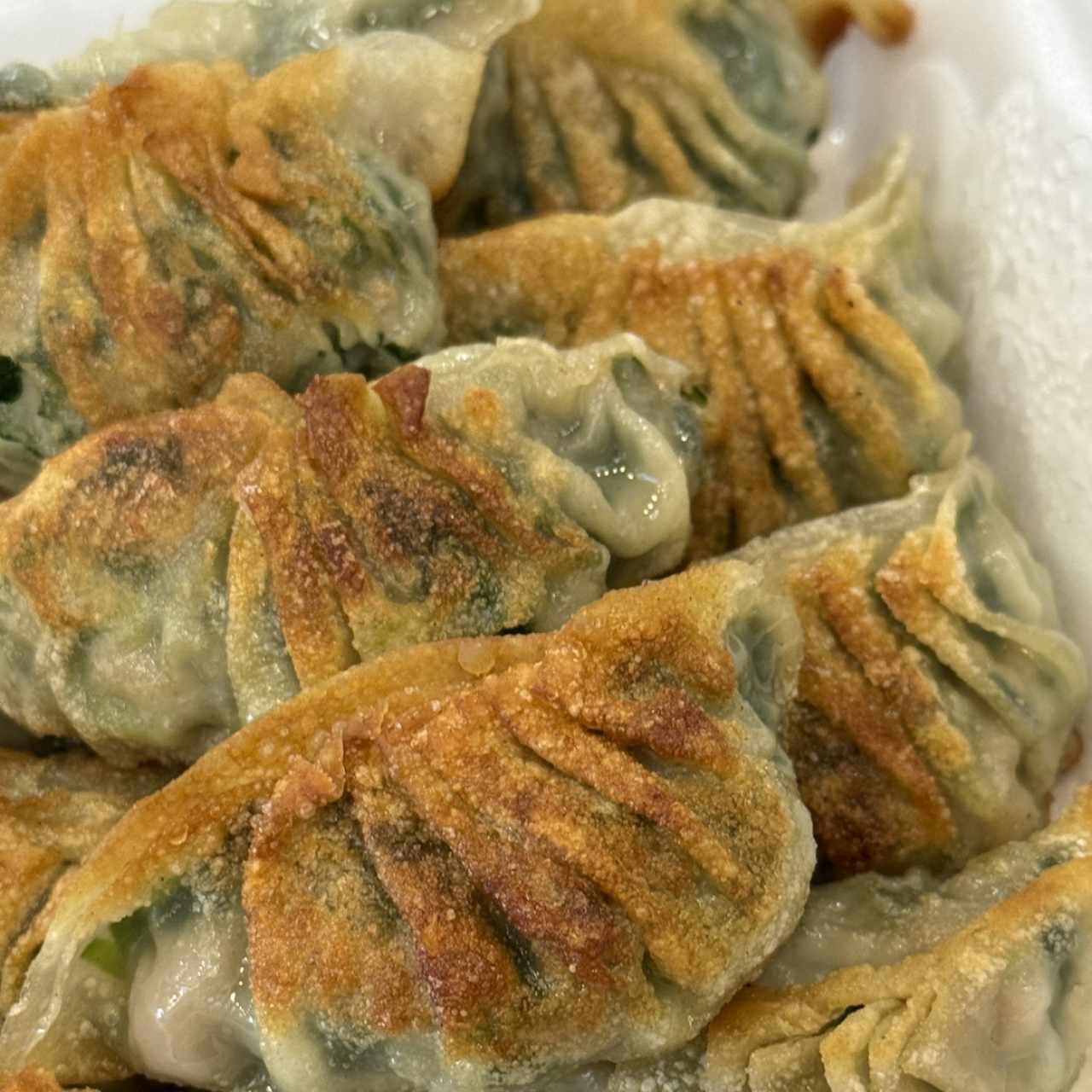 Dumpling de puerco con cebollina