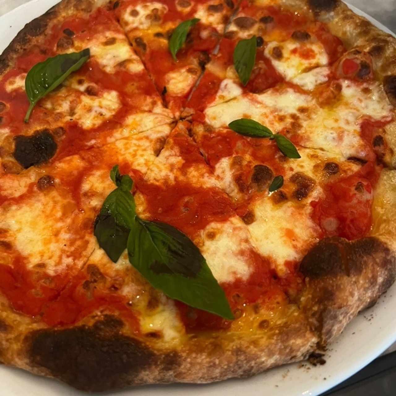 Pizza Margarita