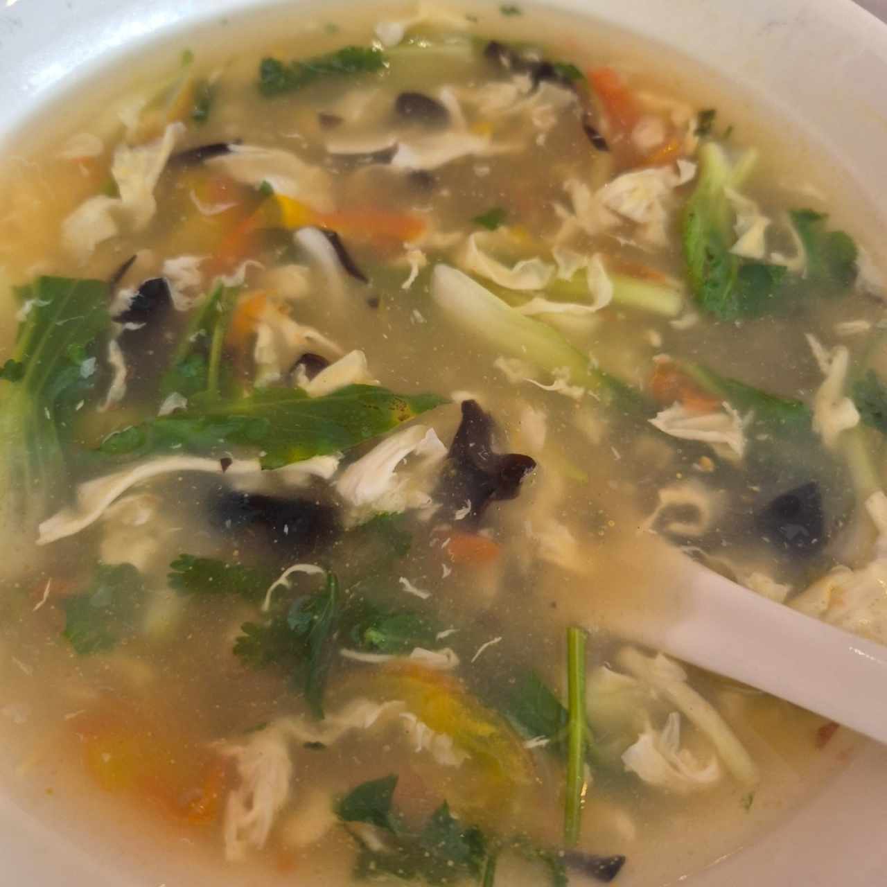 Sopas de tres delicias y vegetales (orden para 4-5 personas)
