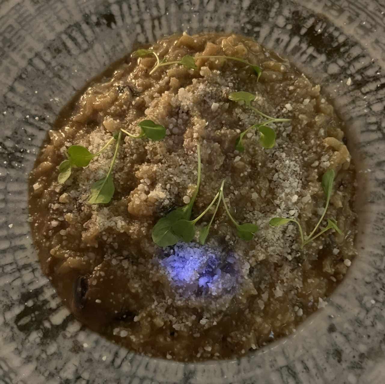 Risotto ai Due Funghi