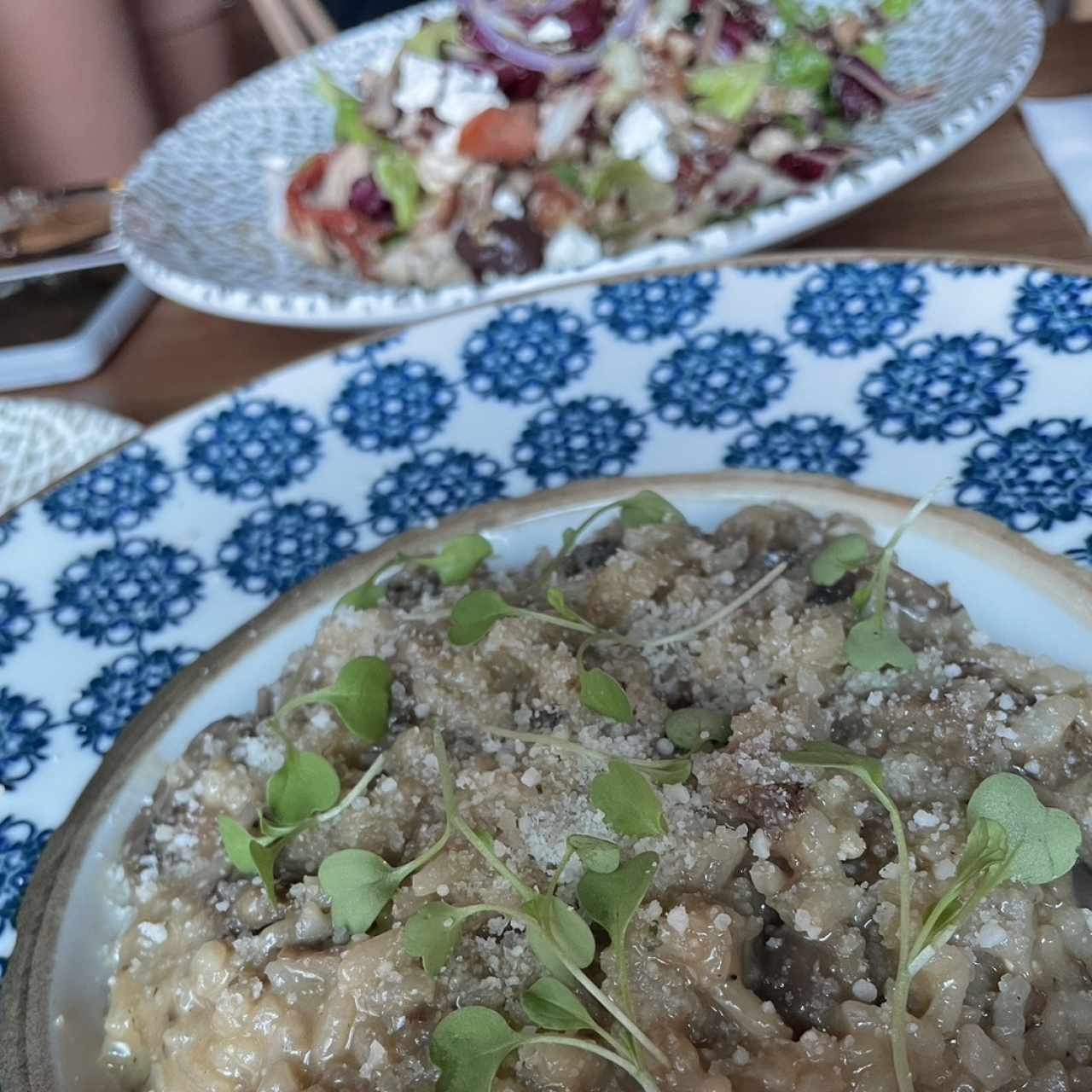 Risotto ai Due Funghi