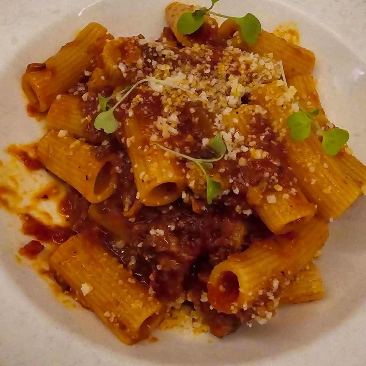 Paste / Pastas - Rigatoni All'Amatriciana
