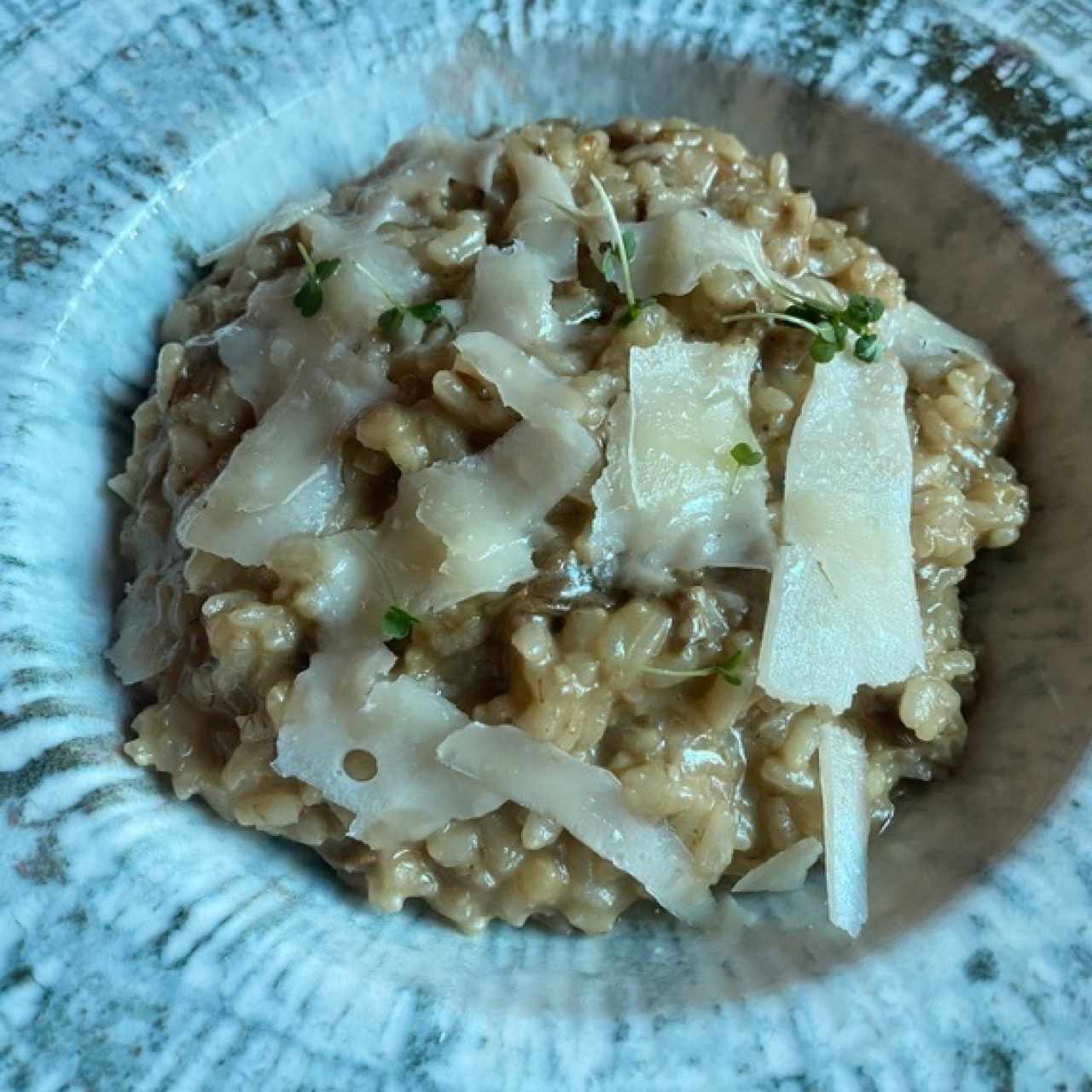Risotto ai Due Funghi