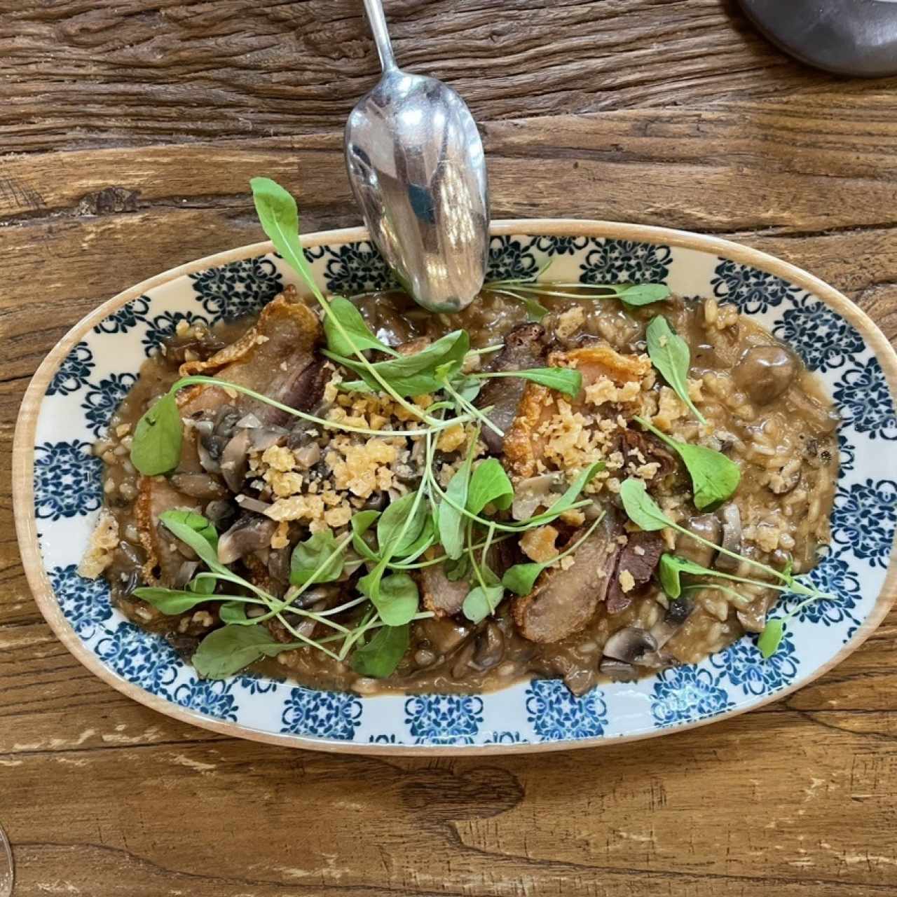 Rissoto de hongos con chicharrón 