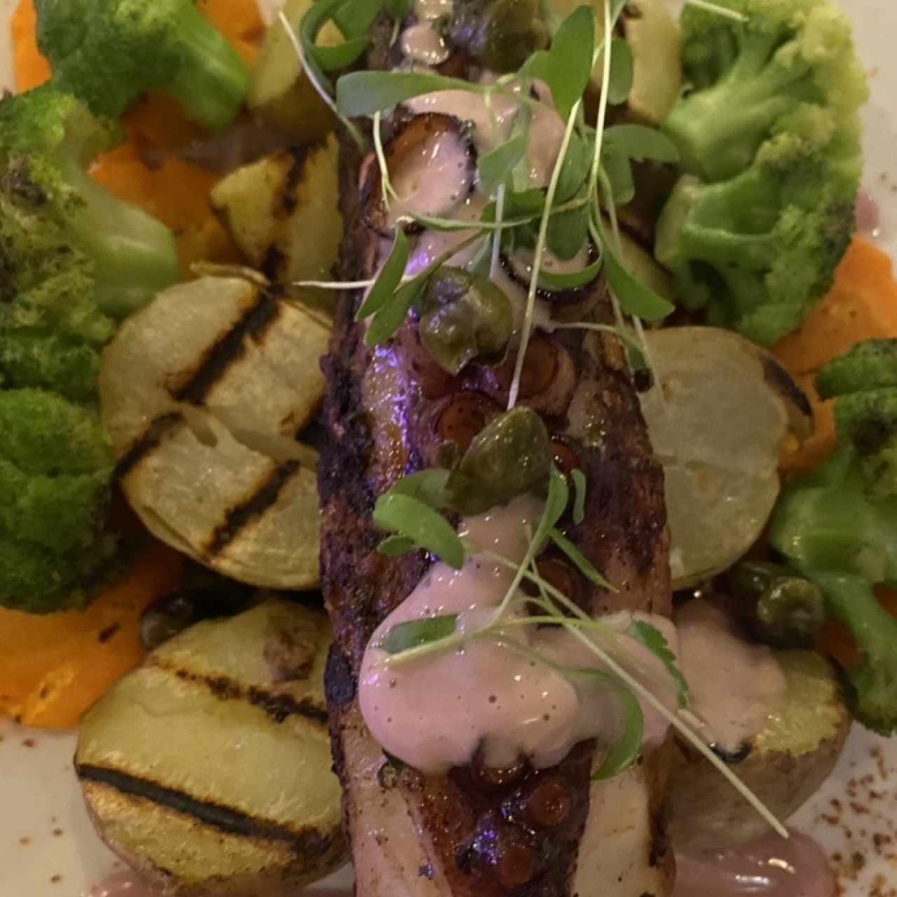 Chef Masaki - Pulpo parrillero
