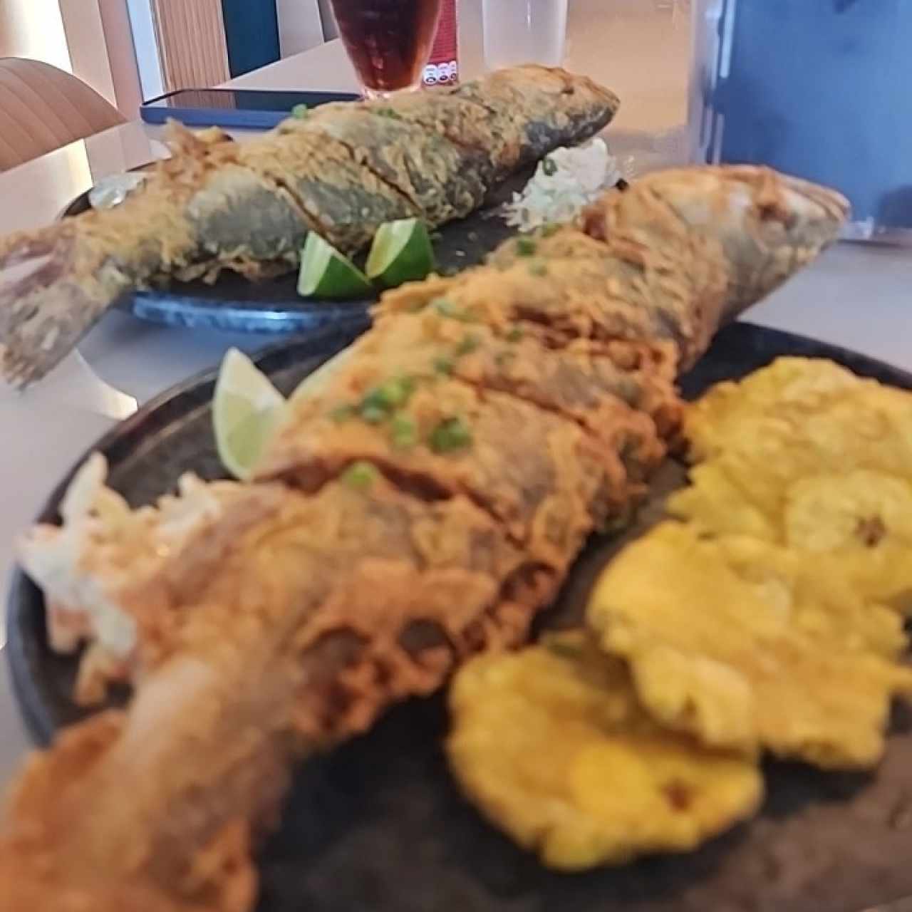 Corvina