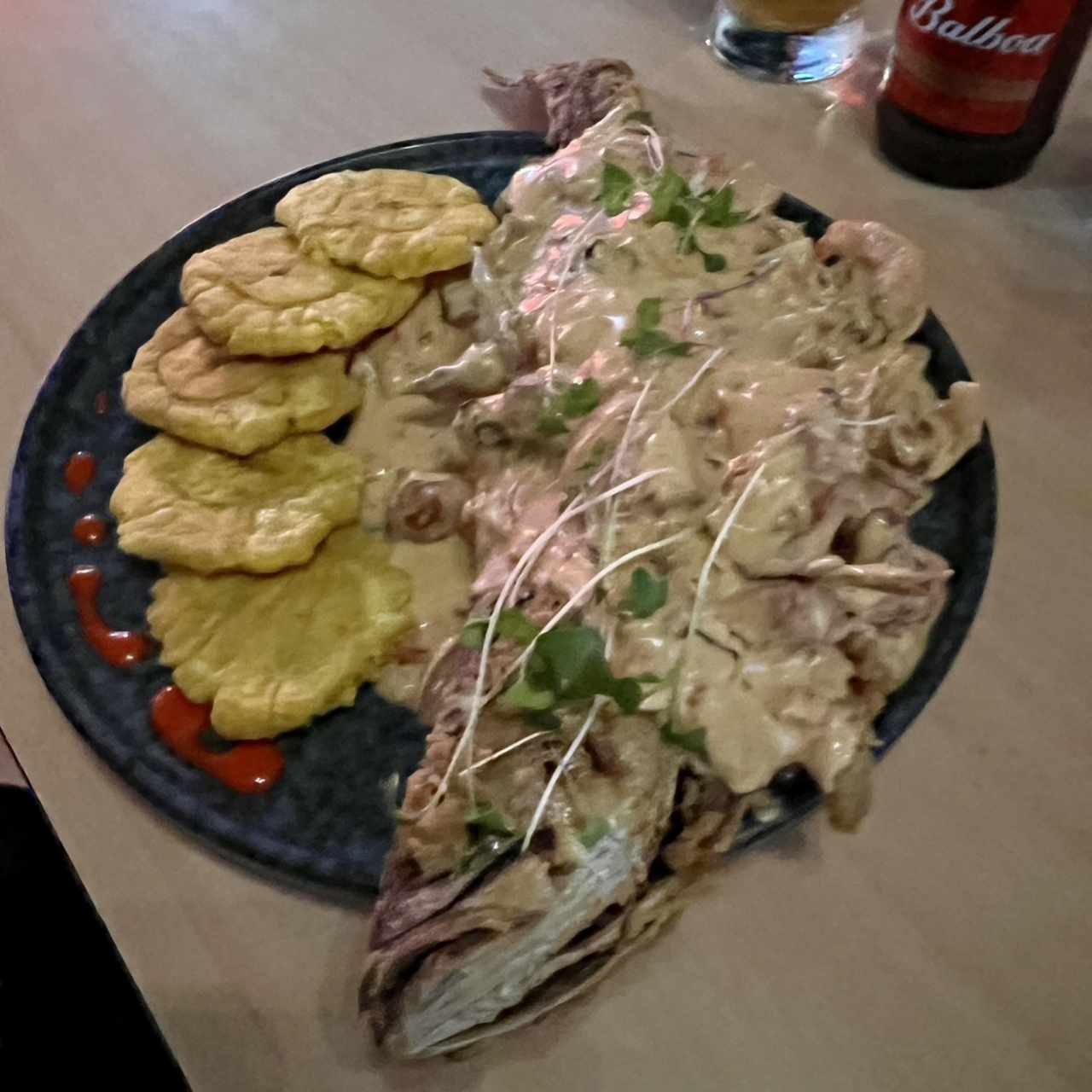 Corvina Macho