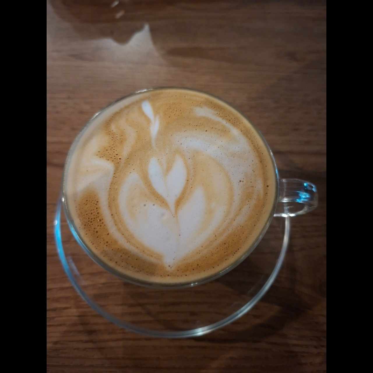 capuchino 