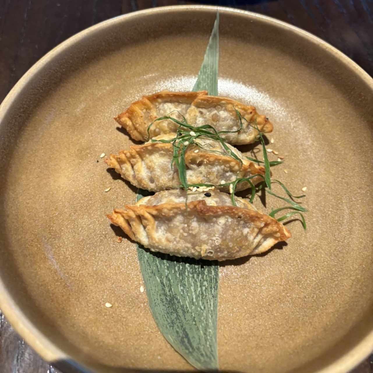 PARA COMPARTIR - GYOSAS