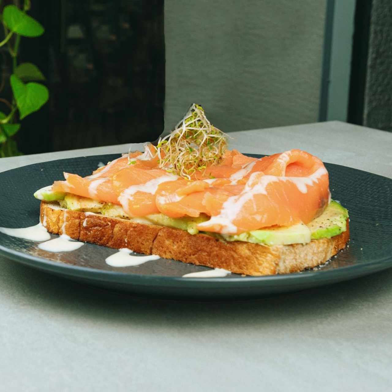Salmon Avo Toast