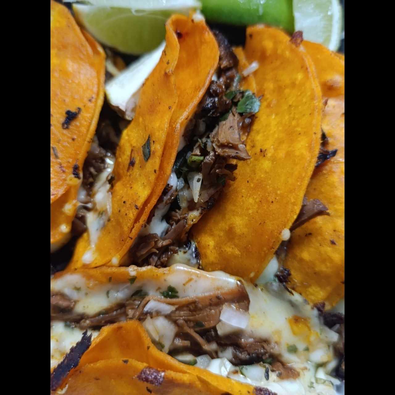Platos Fuertes - Quesabirria