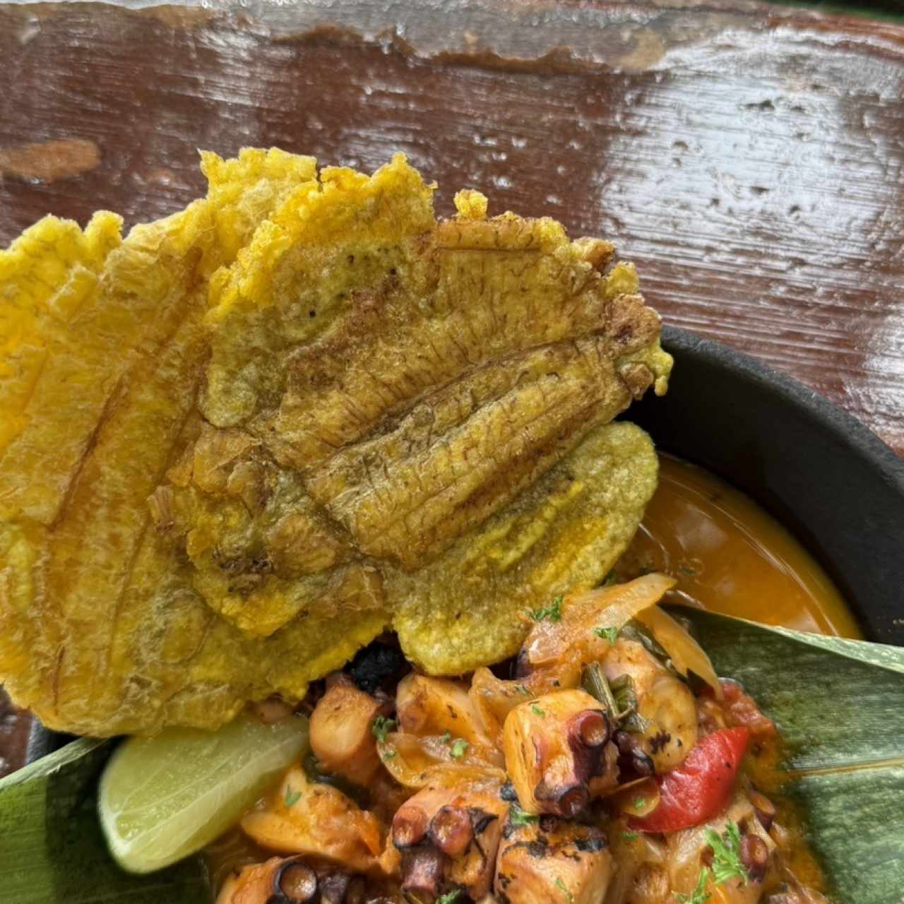 Pulpo caribeño