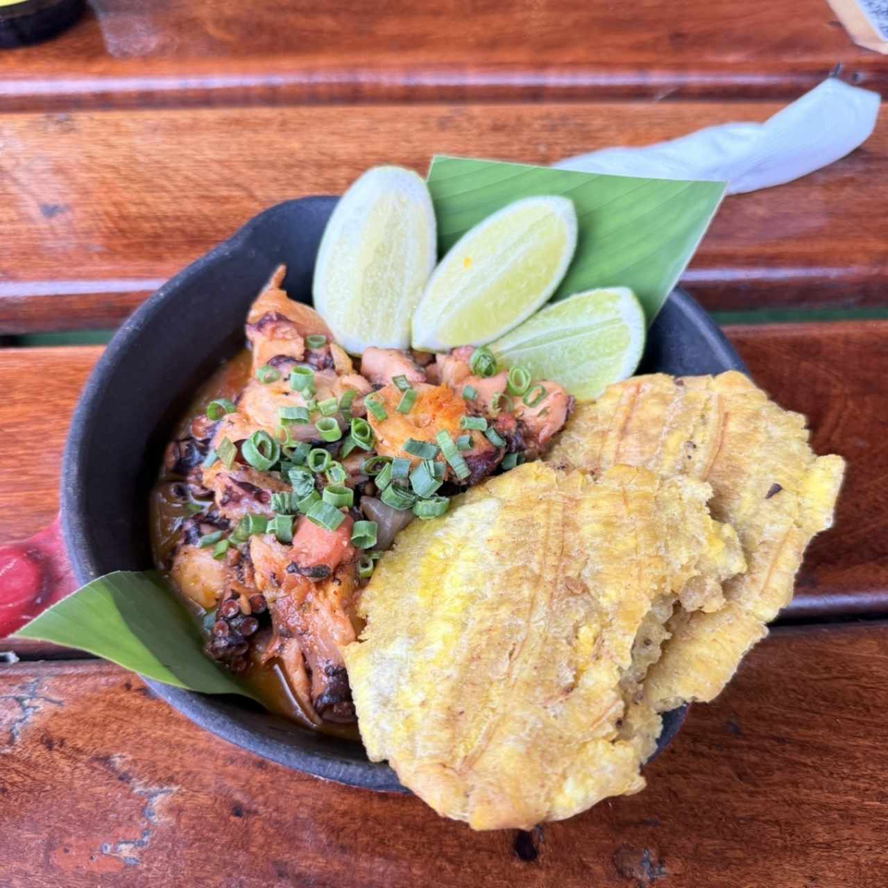 Pulpo caribeño