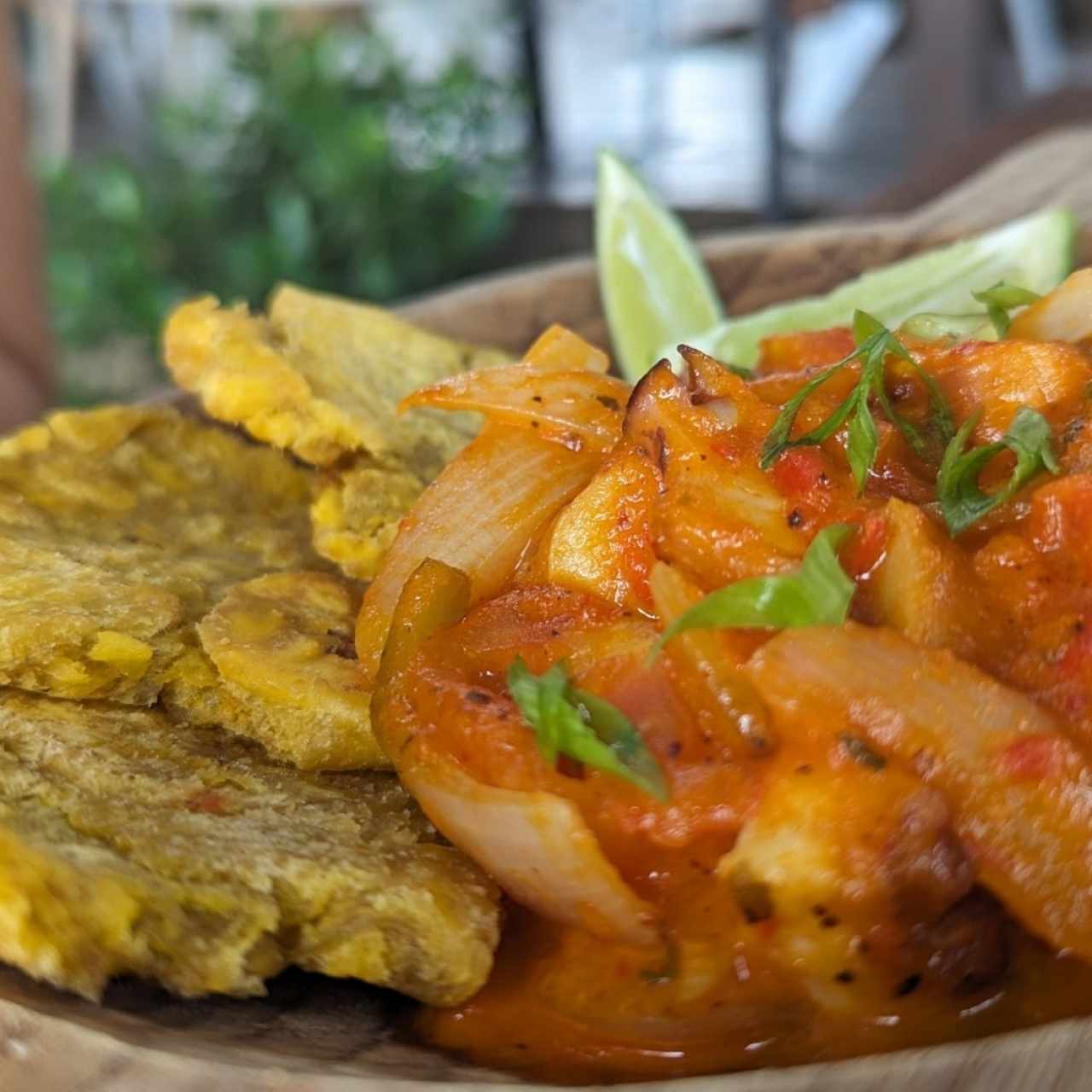 Pulpo caribeño