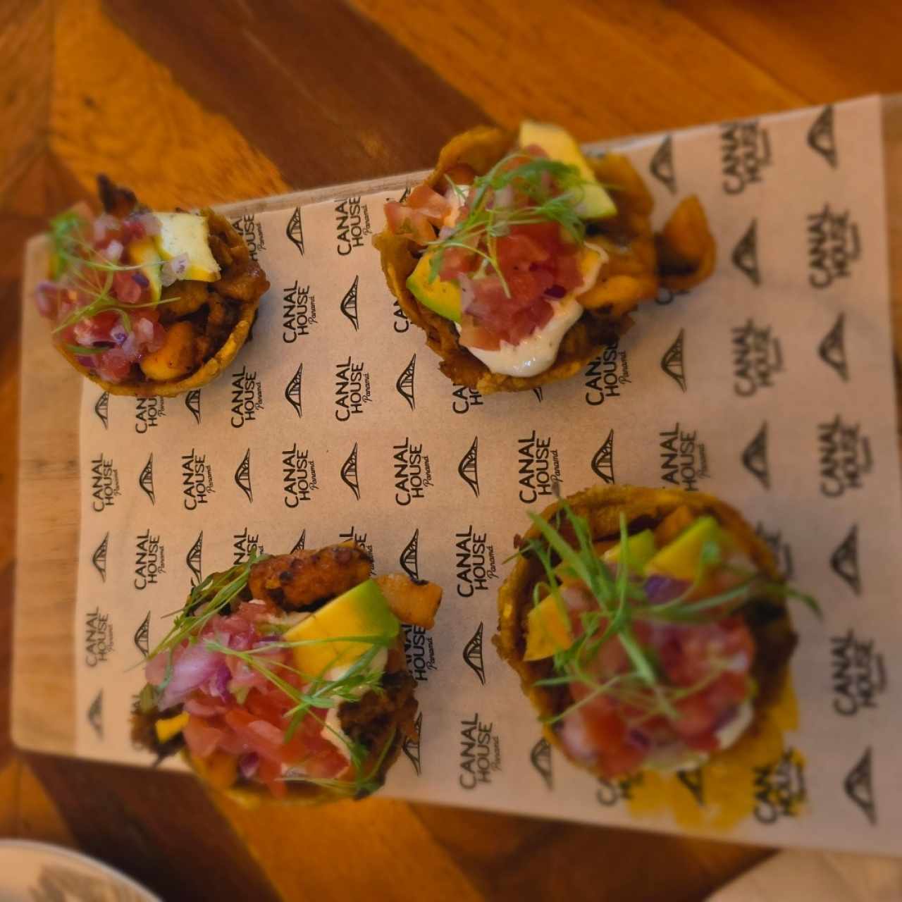 Pulpo caribeño