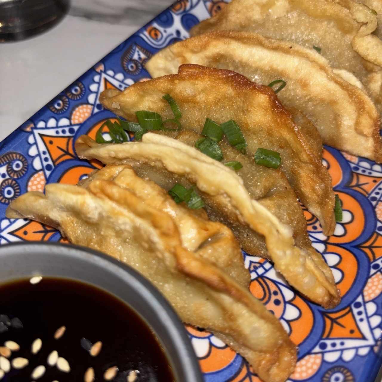 GYOZAS, CERDO O POLLO