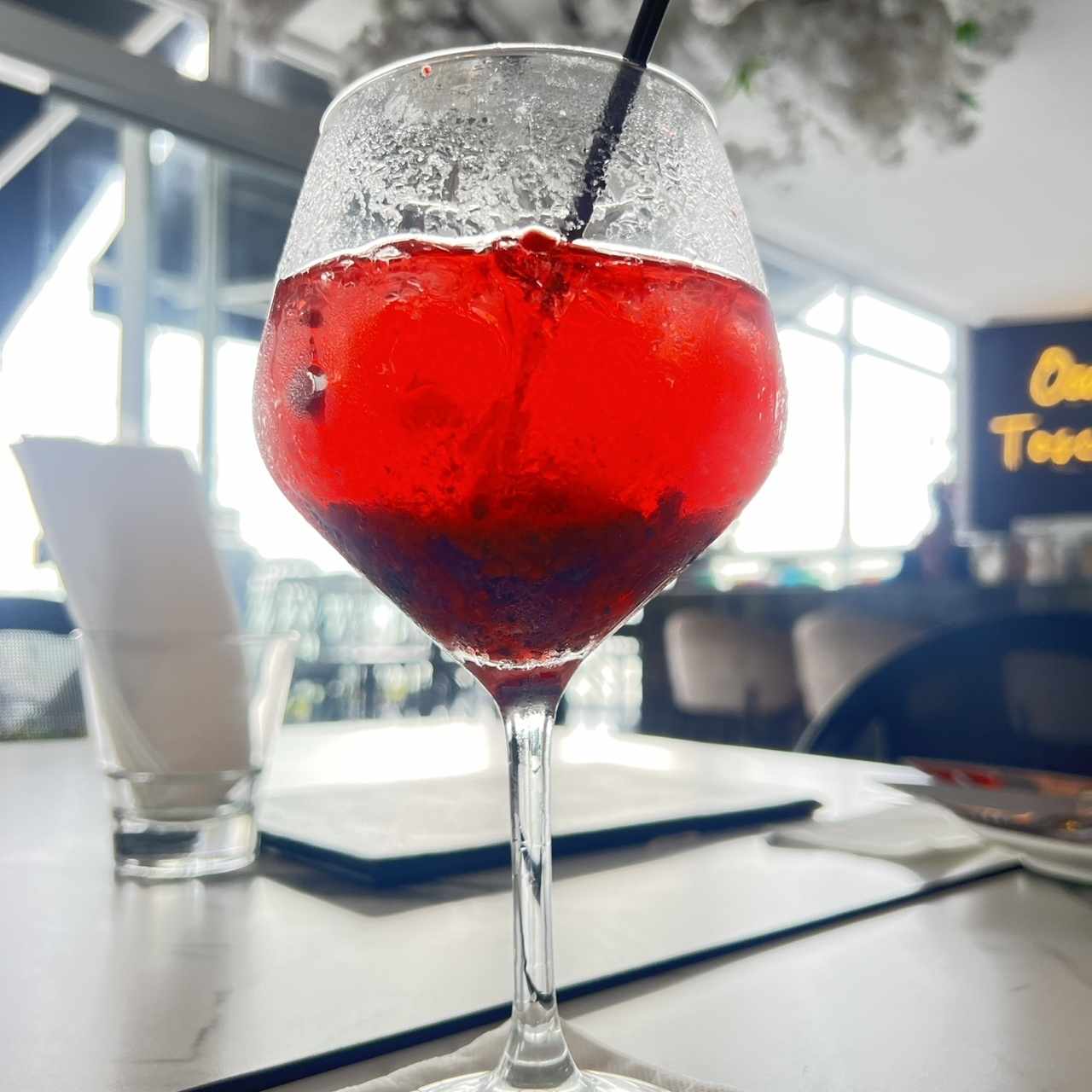 Gin con frutos rojos 