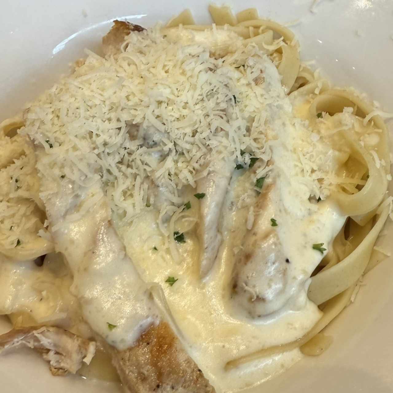 Amazing Alfredos - Chicken Alfredo