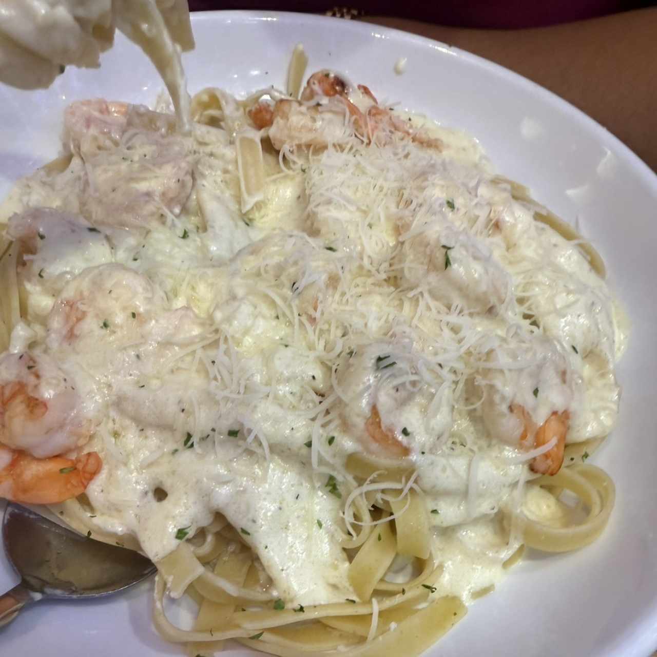 Amazing Alfredos - Fettuccine Alfredo