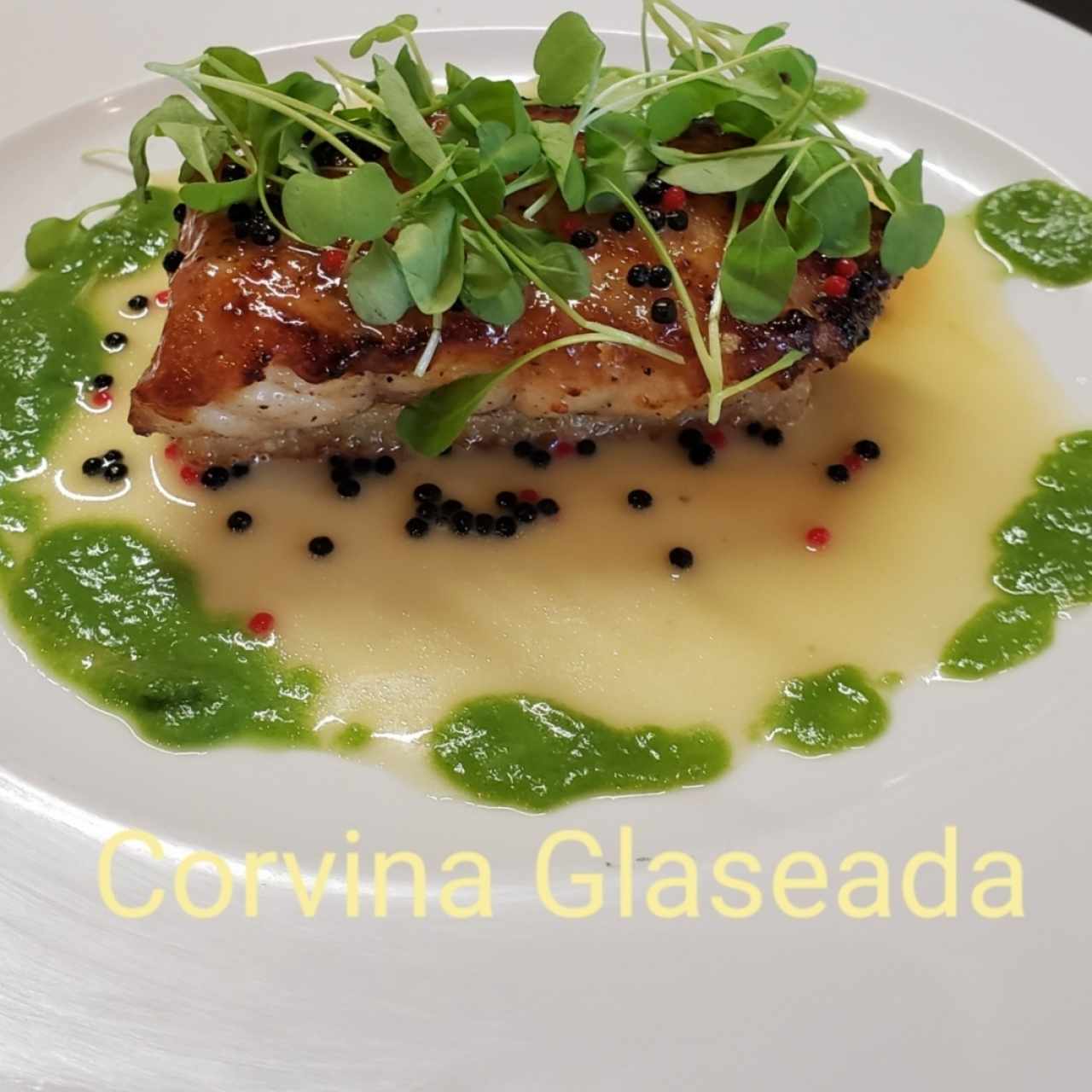 Plato nuevo