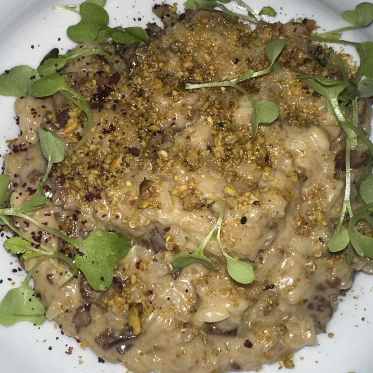 Short Ribs Rissoto