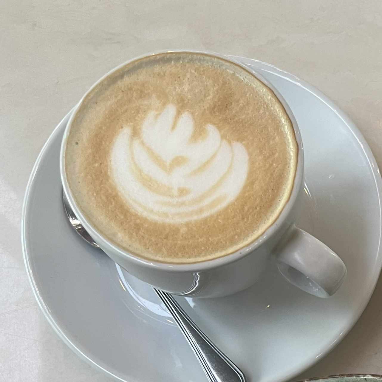 Capuccino