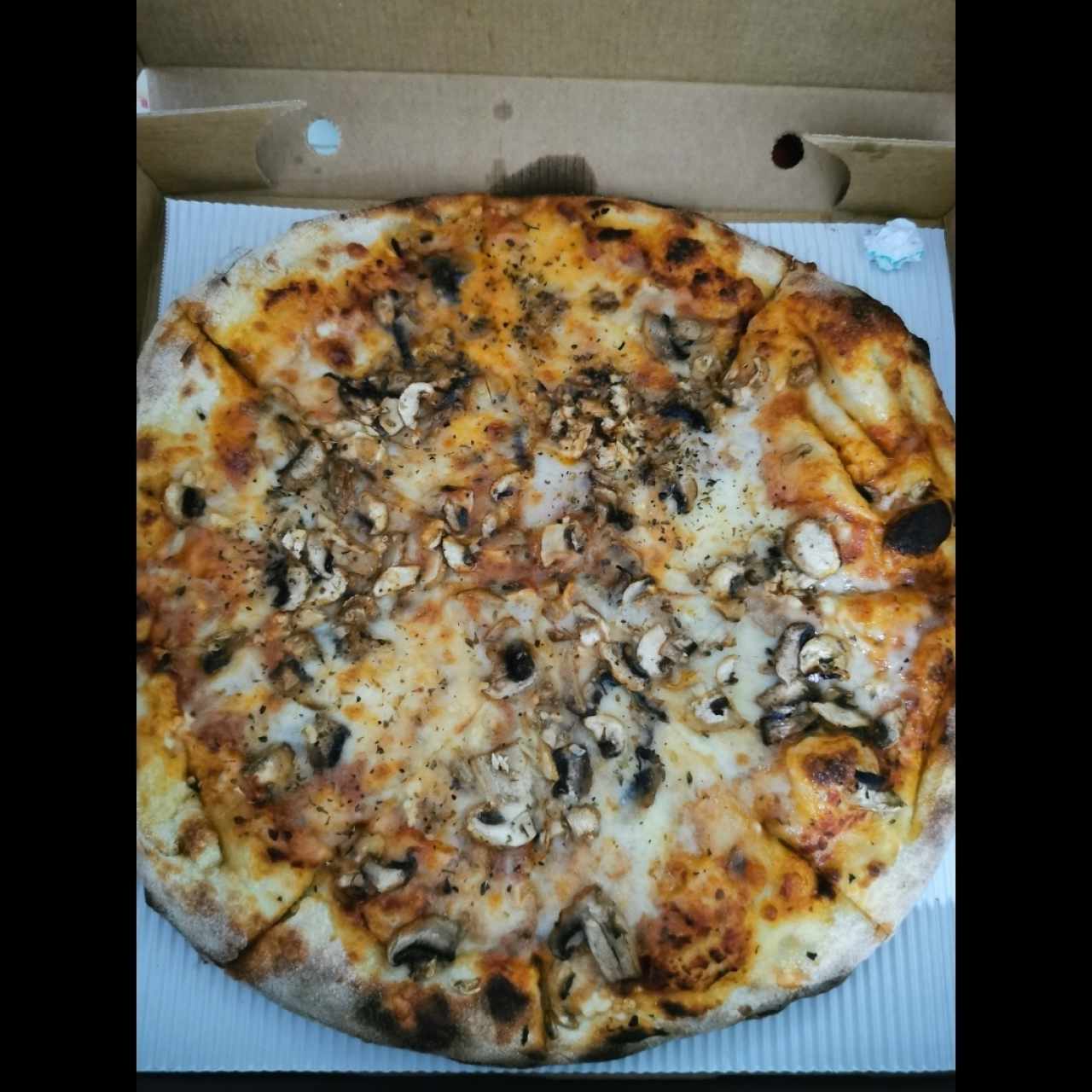 Pizzas Clásicas - Funghi Especial