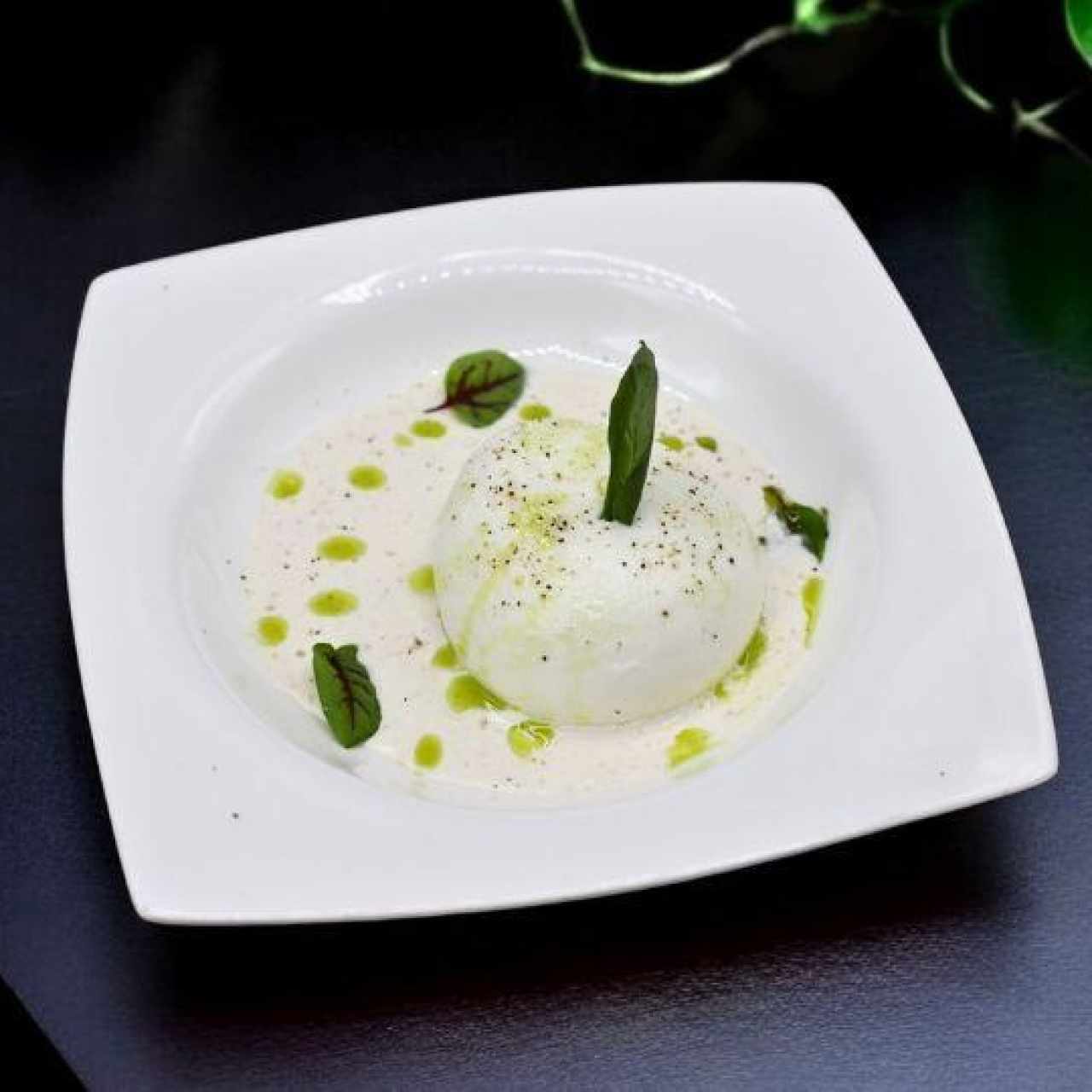 BURRATA EN CREMA Y ACEITE DE ALBAHACA