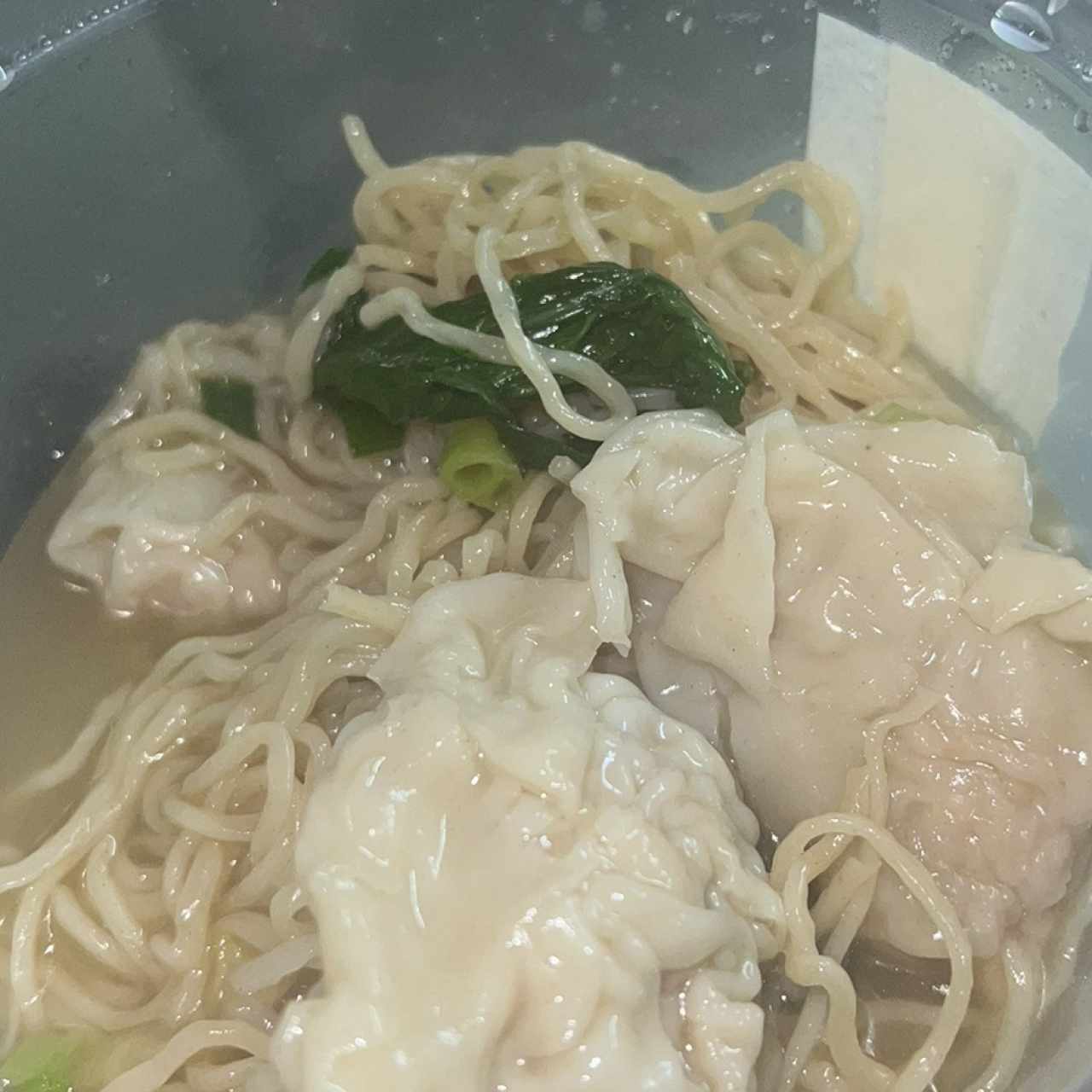 Sopa De Wanton De Puerco Con Fideos