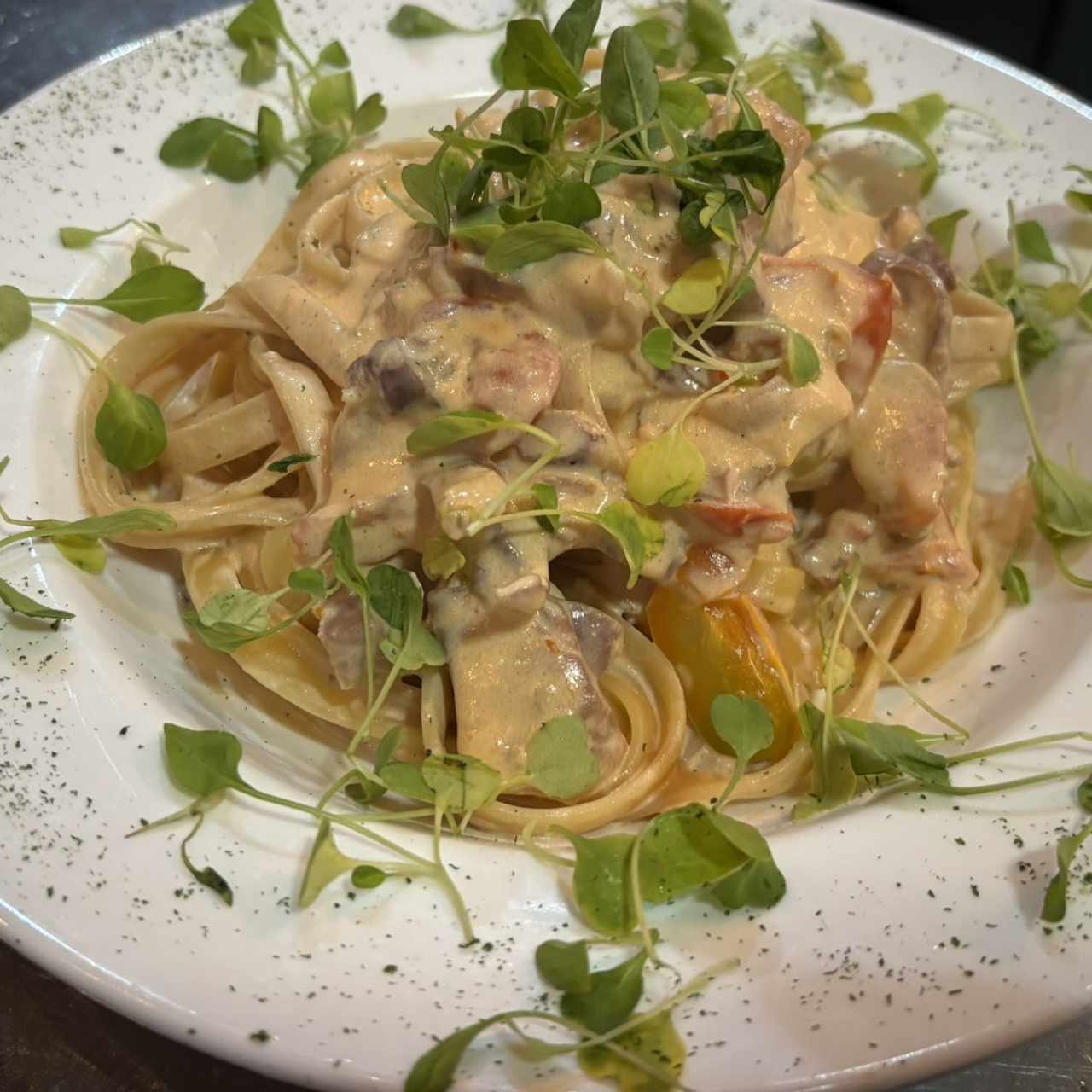 Pastas - Katané