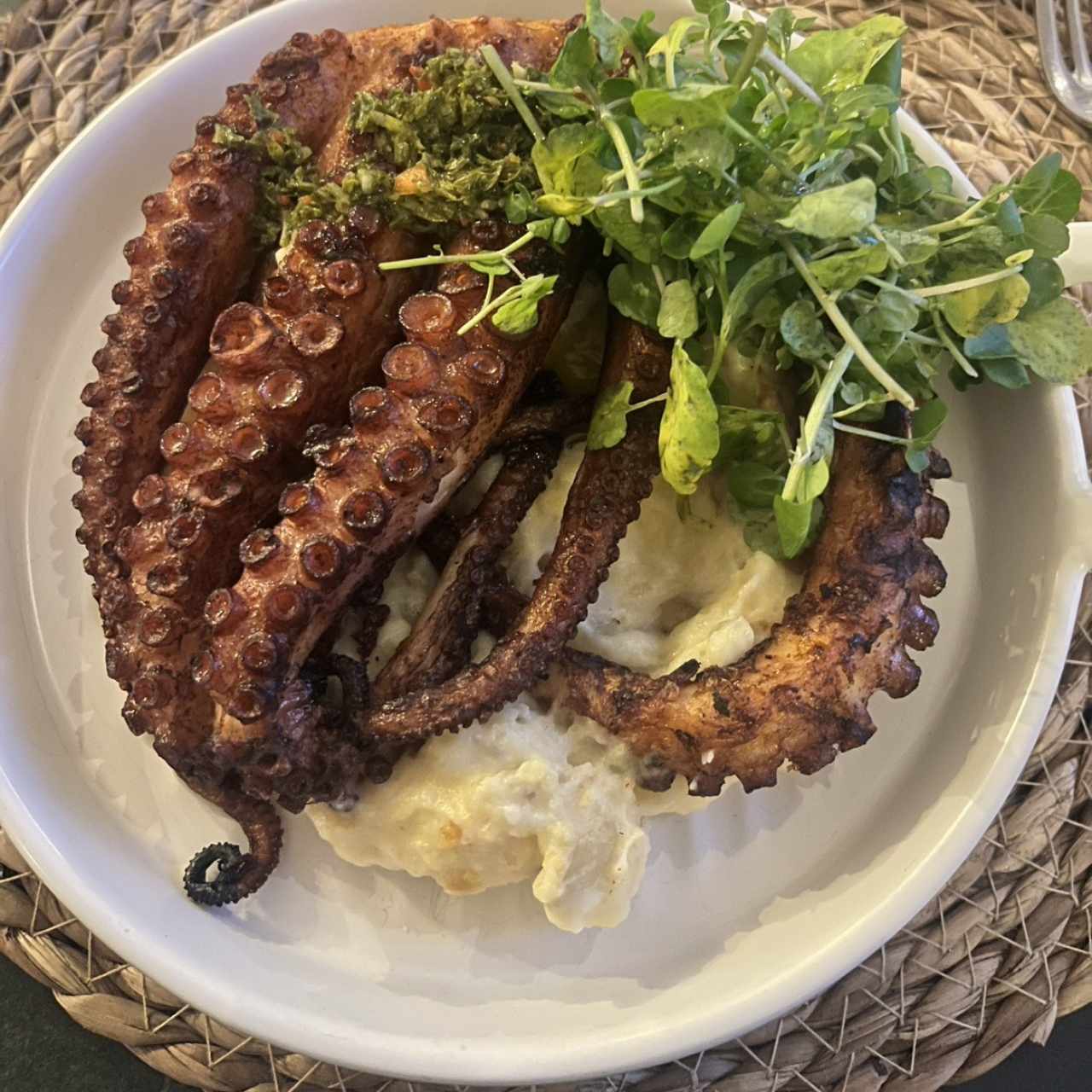 Pulpo