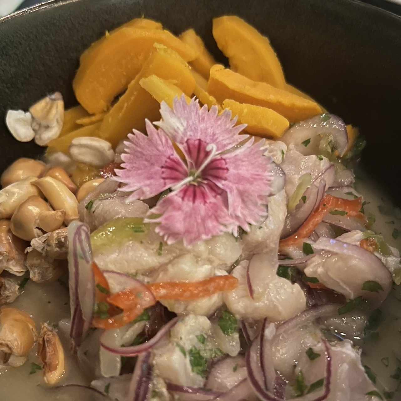 Ceviche de corvin Pixbae,Maracuyá