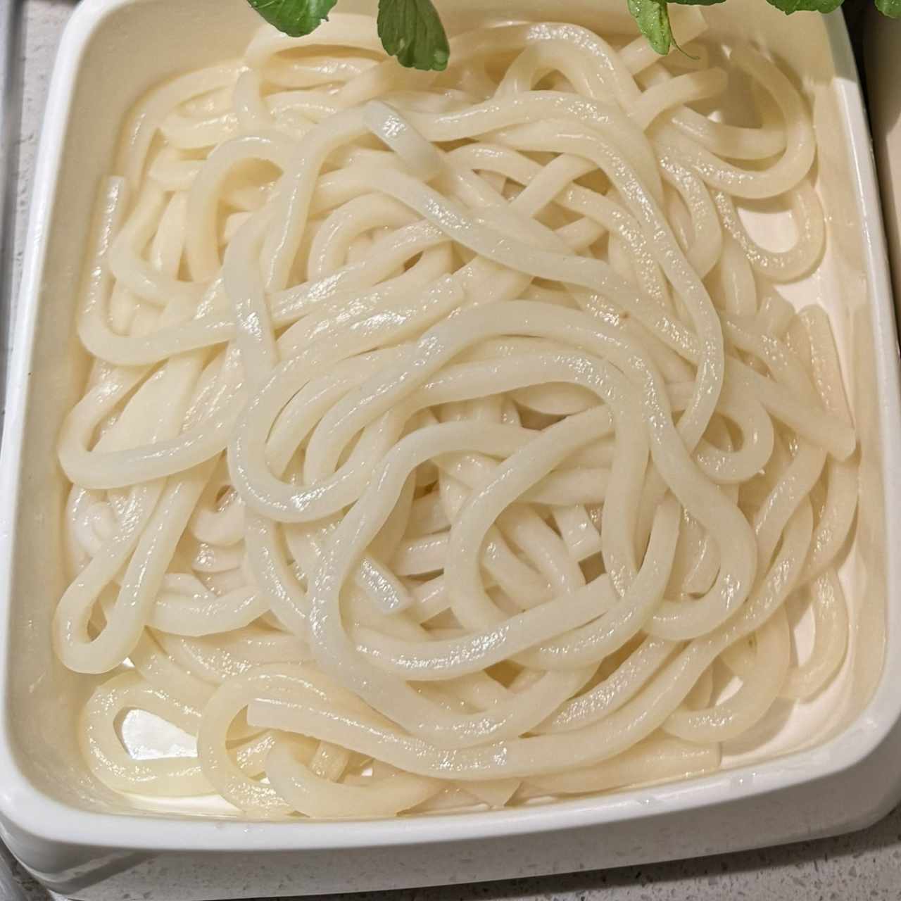 Udon