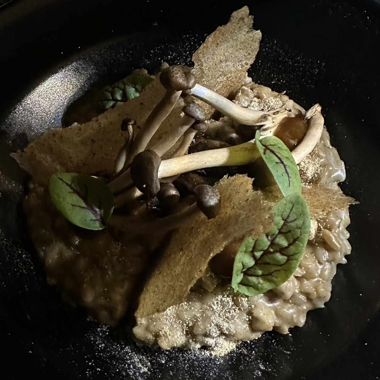 Entradas Calientes - Risotto de Hongos / excelente acompañamiento