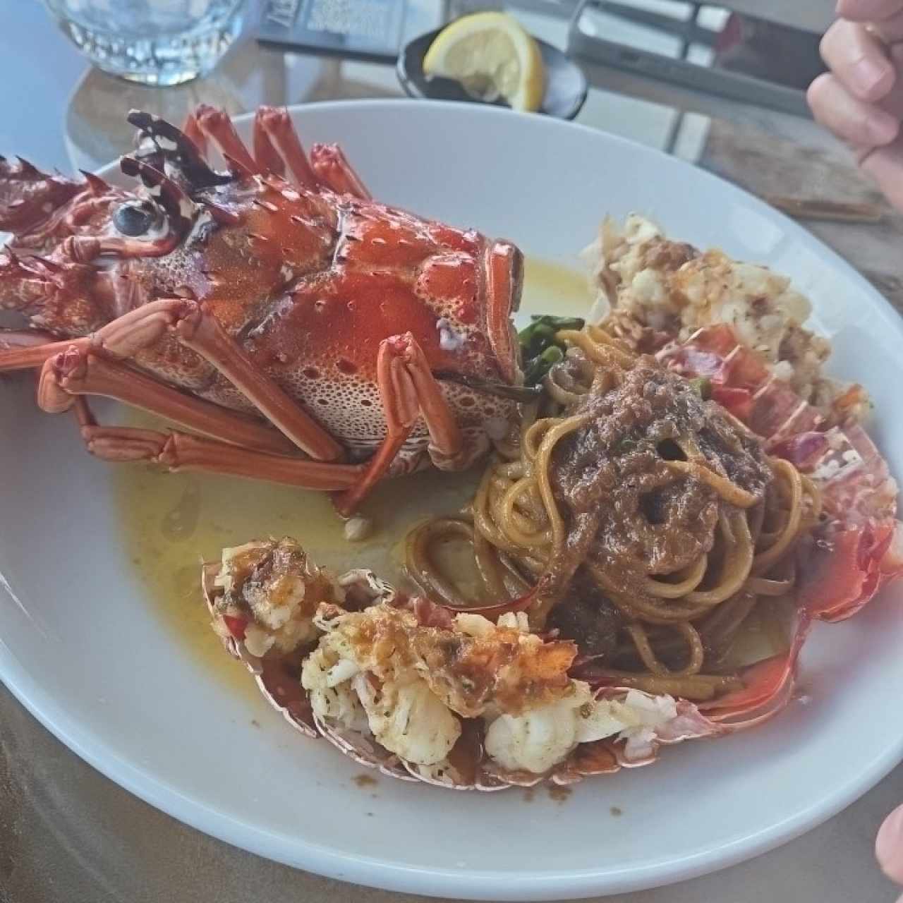 langosta