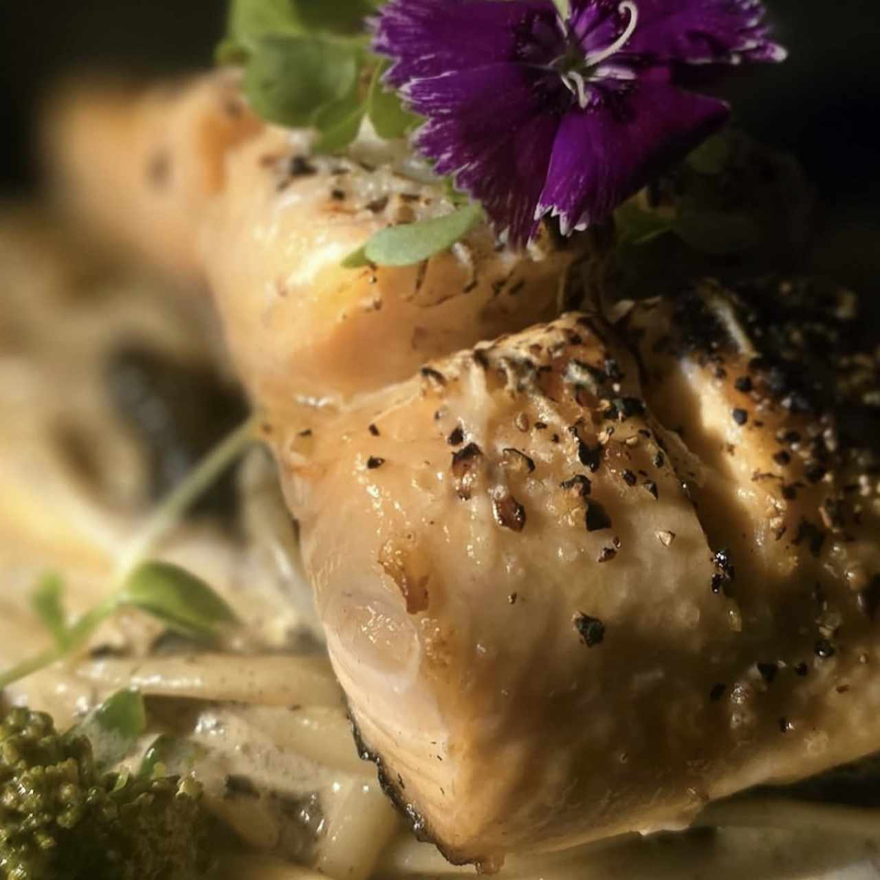 Exquisitas Pastas - Salmón gratinado