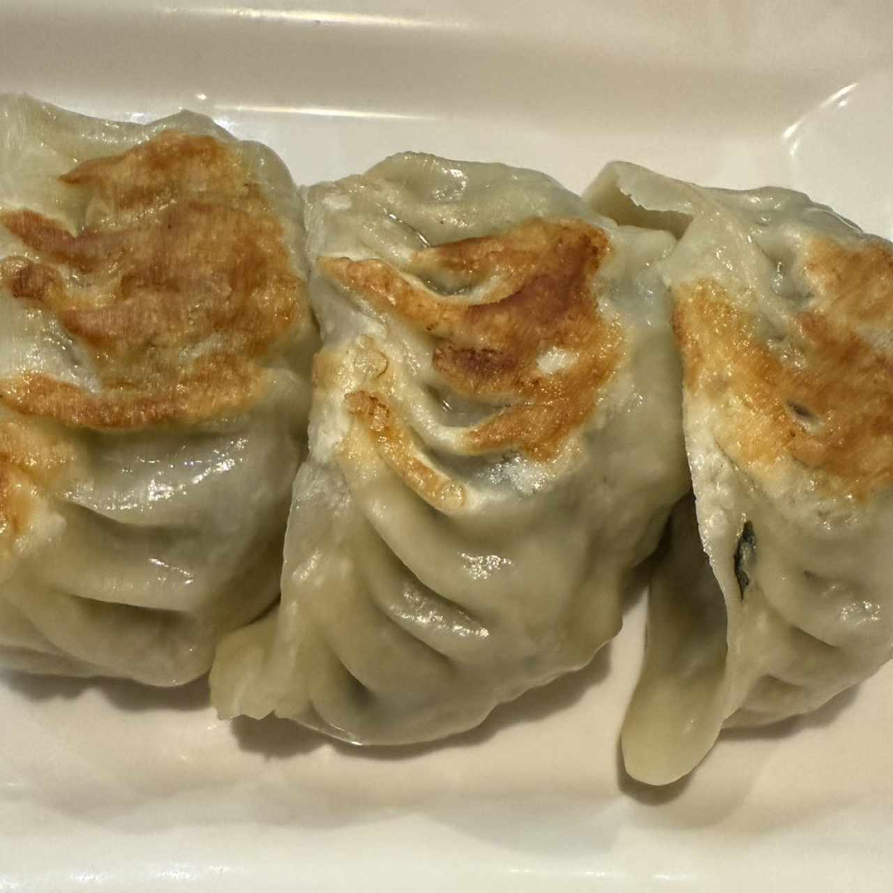 Dim Sum - WO TIP DUMPLINGS