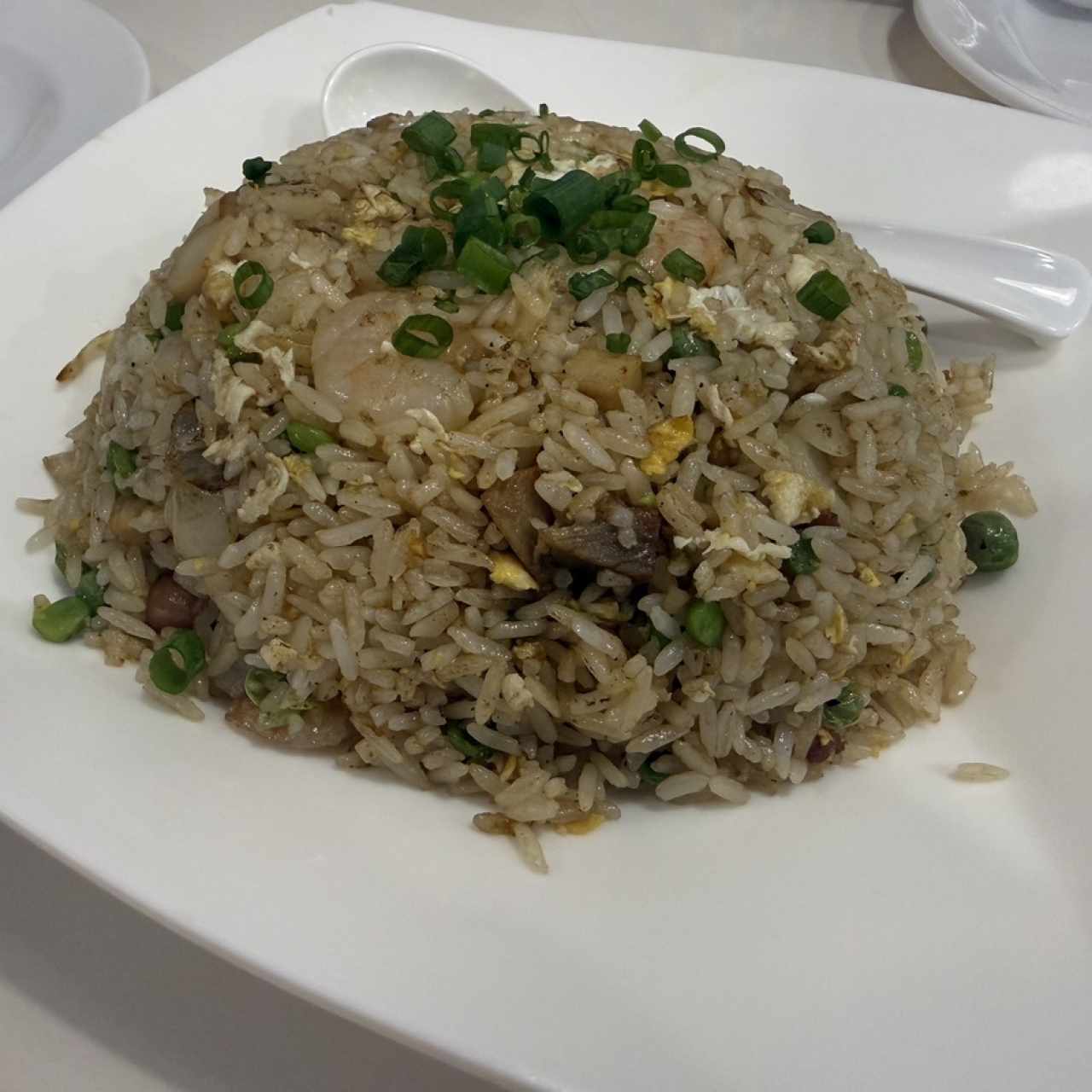 Street Food - ARROZ FRITO YANGZHOU
